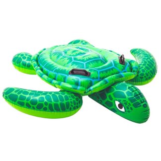 2694